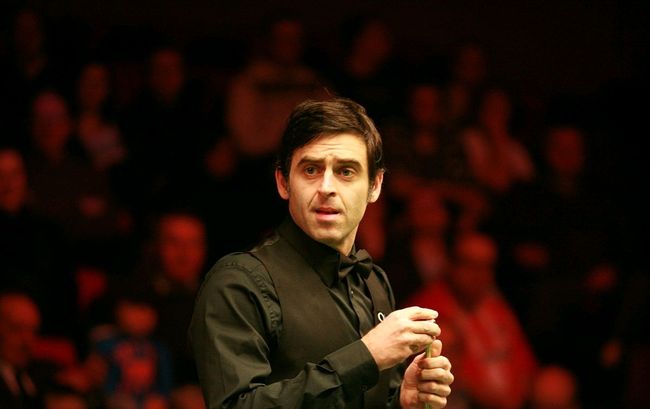 亮了这条 亮了这条