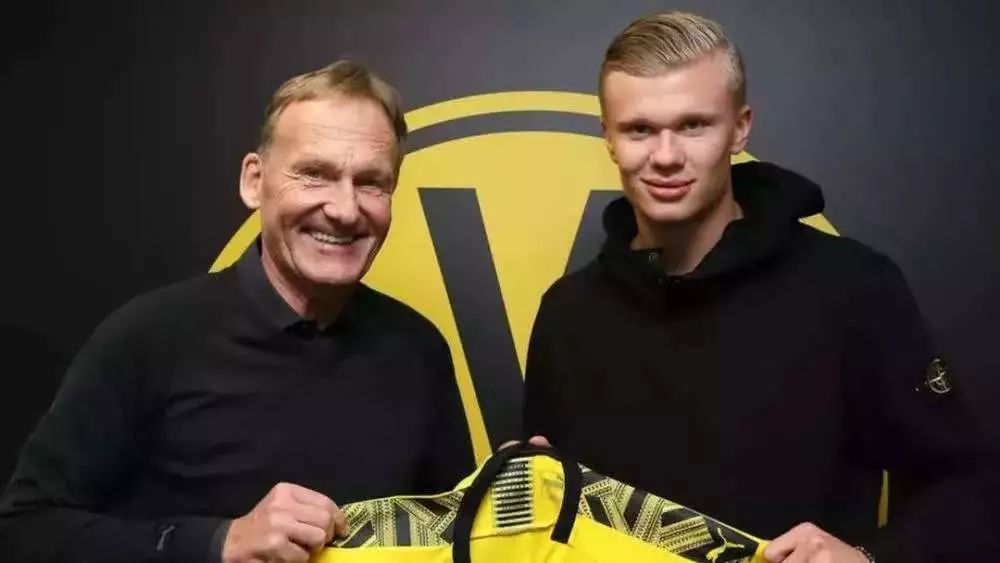 操作建议 操作建议